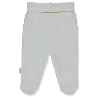 BEBETTO DONJI DIO T3672 