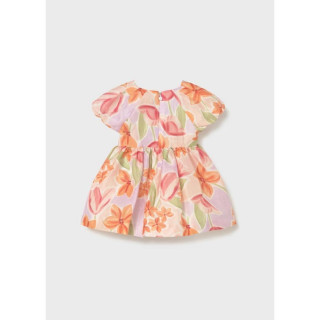 MAYORAL HALJINA 1909 