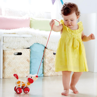 HAPE DRVENA IGRACKA KUCA E0347 