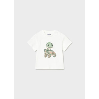 MAYORAL HALJINA 1890 