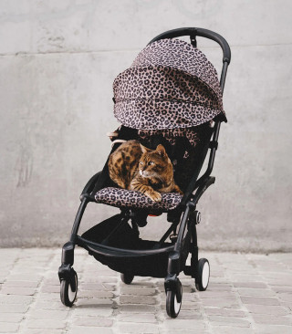 STOKKE YOYO3 SASIJA/KONSTRUKCIJA BLACK 646002 I YOYO3 SPORTSKO SJEDISTE 6+ COLOR PACK LEOPARD 646413 