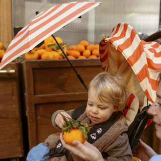 STOKKE STOKKE YOYO3 SJEDISTE SET RIVIERA CAPRI 