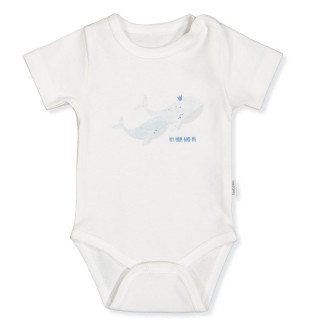 BEBETTO BODI T3887 