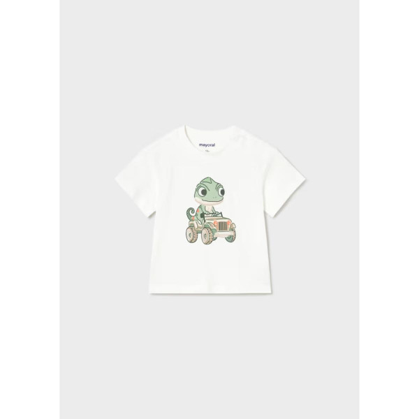 MAYORAL HALJINA 1890 