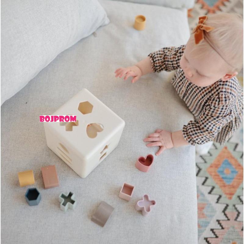 MUSHIE IGRACKA SORTING BOX 2490000 